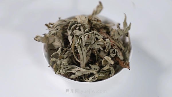 南陽艾草產(chǎn)業(yè)蓬勃發(fā)展的背后原因是為什么？(圖1)