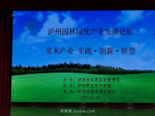 瀘州園林綠化產(chǎn)業(yè)發(fā)展論壇召開(kāi)，大伽把脈苗木行業(yè)(圖2)
