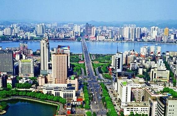 以苗木帶動文旅，年產(chǎn)400萬支鮮花的株洲究竟有什么魔力？(圖1)