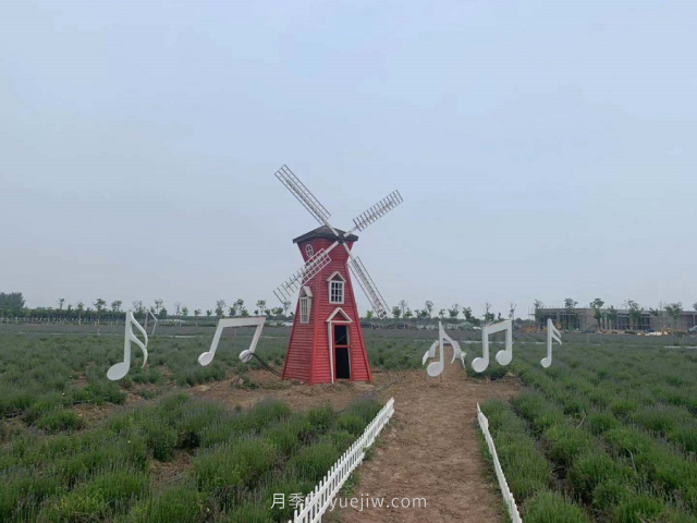 聊城芳香文化博覽園，鄉(xiāng)村振興巾幗示范基地(圖3)