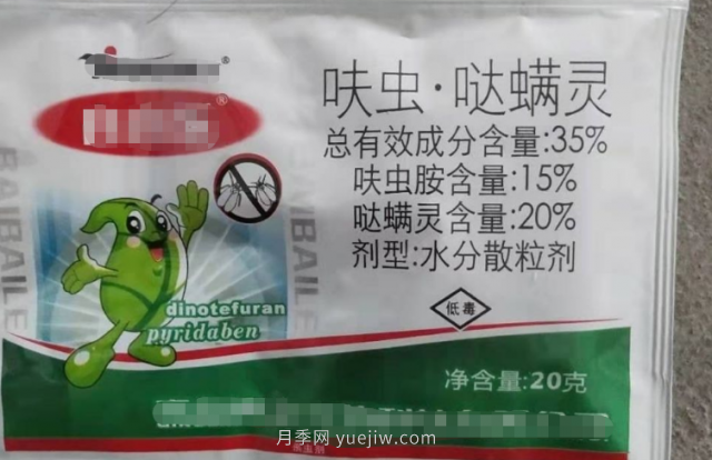 7月月季常爆發(fā)這3種蟲害，對癥下藥無煩惱(圖7)