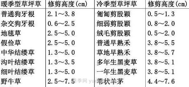 景觀草坪修剪全攻略，實(shí)用干貨分享(圖2)