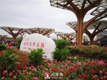 中國的月季園有哪些分類？