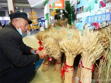 楊凌農(nóng)科盛會(huì)淘出新品種 栽下致富新苗
