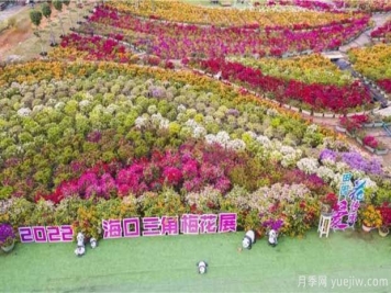 2022年?？谌敲坊ㄕ箚⒛唬迦富ㄍ躞@艷出場