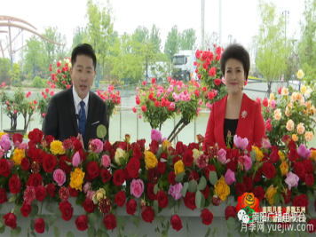 2022年第十三屆南陽(yáng)月季花會(huì)開(kāi)幕，南陽(yáng)電臺(tái)全媒體直播