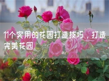 11個(gè)實(shí)用的花園打造技巧，打造完美花園