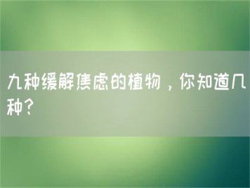 九種緩解焦慮的植物，你知道幾種？