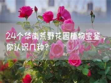24個(gè)華南荒野花園植物寶鑒，你認(rèn)識幾種？