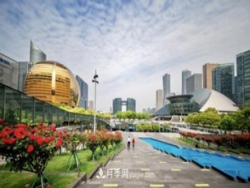 浙江杭州：錢江新城近千株月季盛開陽(yáng)臺(tái)