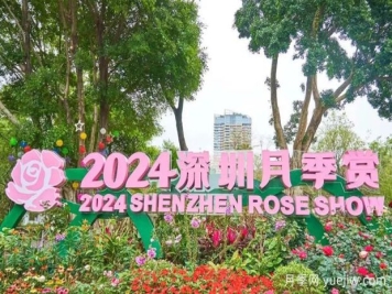 五園聯(lián)動(dòng)，2024深圳月季賞浪漫進(jìn)行中