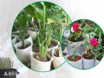 南陽(yáng)月季苗木花卉美植袋植樹袋廠家批發(fā)價(jià)