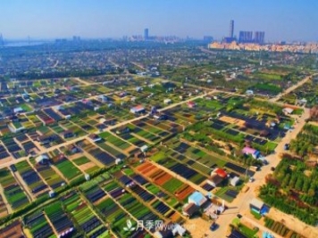 廣東省中山市橫欄鎮(zhèn)，這個(gè)3萬(wàn)畝的花木之鄉(xiāng)，畝均年產(chǎn)值竟達(dá)10萬(wàn)元