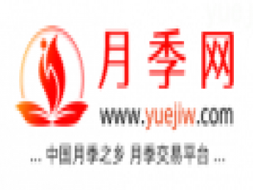 中國月季網(wǎng)，月季品種介紹和養(yǎng)護(hù)知識分享專業(yè)網(wǎng)站