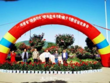 河南省四優(yōu)四化項(xiàng)目 助推南陽(yáng)月季、梔子產(chǎn)業(yè)發(fā)展