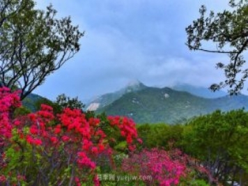 桐柏縣，淮河之源 坐標桐柏山