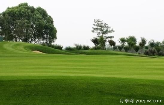 草坪何時(shí)需要澆水？(圖1)