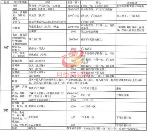 月季病蟲害種類及用藥總結(jié)，就看這張表(圖2)