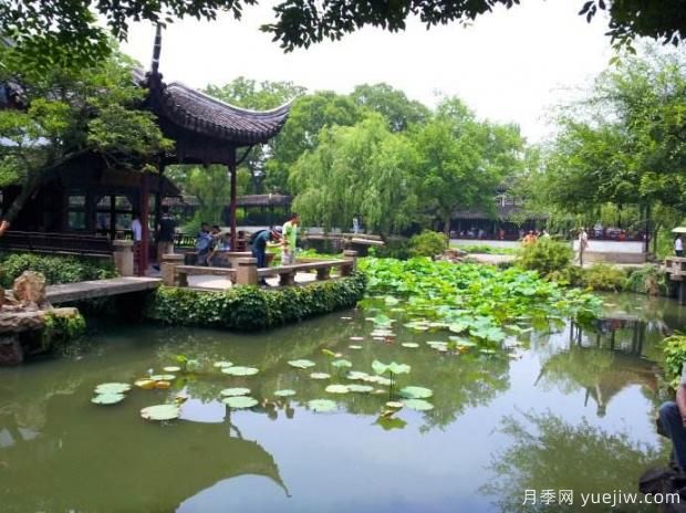 如何做好園林綠化工程決算？(圖1)