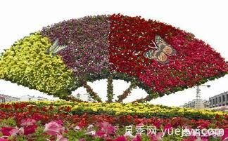 現(xiàn)在什么苗木種植前景好？(圖9)