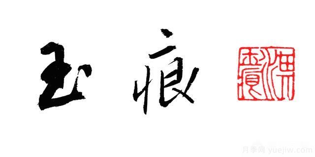 月季大藤本和小藤本都有哪些品種？栽種方式有沒有區(qū)別？(圖4)