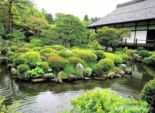 庭院設計與植物搭配的6大風格和30種玩法(圖5)