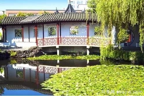 庭院設計與植物搭配的6大風格和30種玩法(圖12)