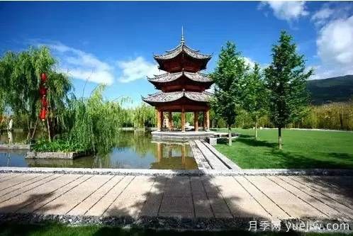 庭院設計與植物搭配的6大風格和30種玩法(圖11)