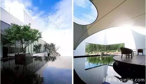 庭院設計與植物搭配的6大風格和30種玩法(圖15)