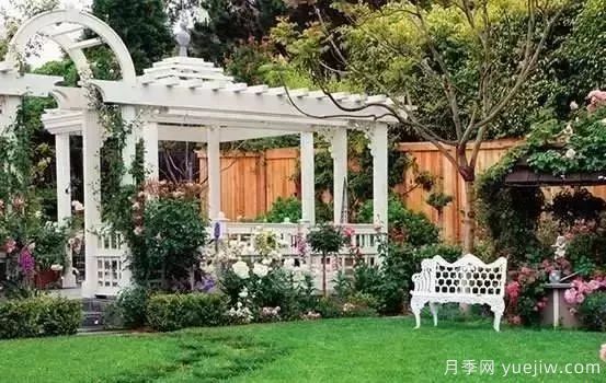 庭院設計與植物搭配的6大風格和30種玩法(圖22)
