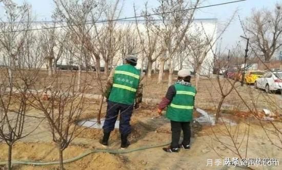 12月份園林養(yǎng)護如何做，才能給全年養(yǎng)護做個好結(jié)尾(圖3)