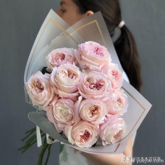 35個奧斯汀官方推薦的月季品種，抗病強長勢好開花多花友必選(圖10)