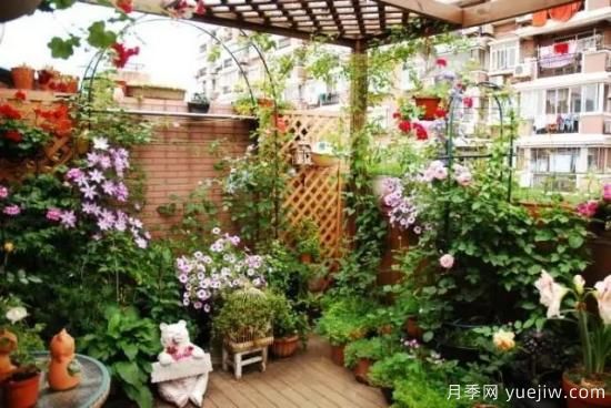 什么是園藝？就是用植物的生命影響人的生命！(圖1)