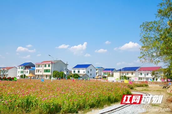 株洲攸縣：姹紫嫣紅皆秋色 鄉(xiāng)村風景入眼簾(圖3)