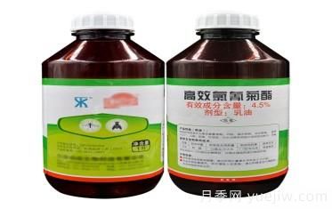 園林養(yǎng)護(hù)常用殺蟲劑知識(圖3)